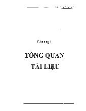 Luận văn Tạo dòng và biểu hiện G-CSF người tái tổ hợp bằng các hệ thống biểu hiện khác nhau trong E.coli