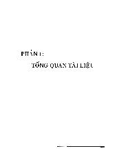 Luận văn Xác định một số điều kiện hoạt động tối ưu cho các chủng xạ khuẩn có khả năng phân giải Lignin và cellulose trong mạt dừa
