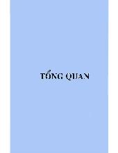 Luận văn Nghiên cứu áp dụng Real-Time PCR phát hiện và định lượng các tác nhân gây viêm màng não mủ thường gặp tại Việt Nam
