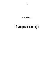Luận văn Nghiên cứu chế tạo bộ thử nghiệm elisa phát hiện và định lượng hiệu gá kháng thể lgM đặc hiệu với Salmonella typhi trong huyết thanh người để chẩn đoán thương hàn