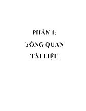 Luận văn Nghiên cứu khả năng phân hủy lignin và cellulose trên mạt dừa của chủng phanerocharte chrysosporium bằng phương pháp sốc nhiệt