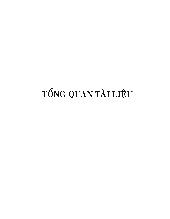 Luận văn Nghiên cứu quá trình chuyển vị sacaroz từ lá đến rễ ở cây khoai mì (Manihot esculenta Crantz)