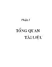 Luận văn Nghiên cứu tận dụng bã khoai mì sản xuất chế phẩm amylase và protease