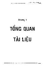 Luận văn Tạo kháng nguyên tái tổ hợp M1 của virus cúm A bằng các hệ thống biểu hiện trong Escherichia coli