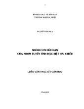 Luận văn Nhóm con hữu hạn của nhóm tuyến tính đặc biệt hai chiều