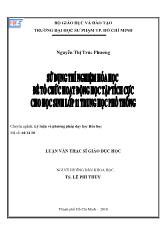 Luận văn Sử dụng thí nghiệm hóa học để tổ chức hoạt động học tập tích cực cho học sinh lớp 11 Trung Học Phổ Thông