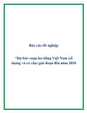 Báo cáo tốt nghiệp Nghiên cứu dự báo cung lao động Việt Nam (số lượng và cơ cấu) giai đoạn đến năm 2010