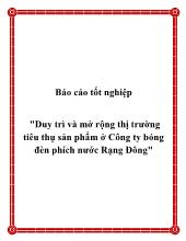 Đề tài Phương pháp duy trì và mở rộng thị trường tiêu thụ sản phẩm ở Công ty bóng đèn phích nước Rạng Đông