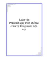 Luận văn Phân tích quy trình chế tạo chân vịt trong nước hiện nay