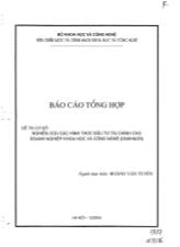 Báo cáo Nghiên cứu các hình thái đầu tư tài chính cho doanh nghiệp khoa học và công nghệ (DNKH&CN)