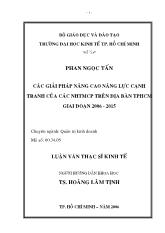 Luận văn Các giải pháp nâng cao năng lực cạnh tranh của các ngân hàng thương mại cổ phần trên địa bàn thành phố Hồ Chí Minh giai đoạn 2006 - 2015