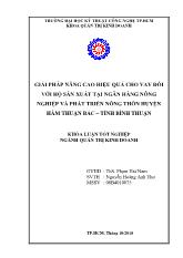Luận văn Giải pháp nâng cao hiệu quả cho vay đối với hộ sản xuất tại ngân hàng nông nghiệp và phát triển nông thôn huyện hàm thuận bắc – tỉnh bình thuận