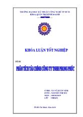 Luận văn Phân tích tài chính tại Công ty TNHH Phong Phúc