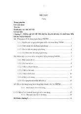Tiểu luận Giải pháp hạn chế rủi ri tín dụng tại các ngân hàng thương mại