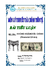 Tiểu luận Khủng hoảng tài chính (financial crisis)