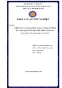Khóa luận Chiến lược cạnh tranh của Công ty TNHH MTV Vpin trong lĩnh vực phân phối mã thẻ điện thoại di động trả trước