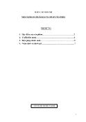 Báo cáo Nhanh nhận định sản phẩm đầu tư chỉ số vtg-Index