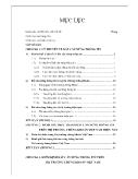 Chuyên đề Bất cân xứng thông tin trên thị trường chứng khoán Việt Nam