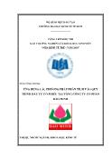 Đề tài Ứng dụng các phương pháp phân tích vào quy trình đầu tư cổ phiếu tại tổng công ty cổ phần Bảo Minh