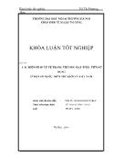 Khóa luận Các biện pháp tự vệ trong thương mại- Thực tiễn sử dụng ở một số nước trên thế giới và Việt Nam