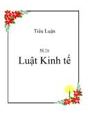 Tiểu luận Luật Kinh tế