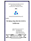 Tiểu luận Sử dụng sóng siêu âm trích ly isoflavone