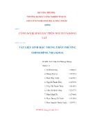 Tiểu luận Vật liệu sinh học trong chấn thƣơng chỉnh hình, nha khoa