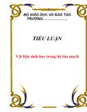 Tiểu luận Vật liệu sinh học trong hệ tim mạch