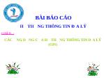 Báo cáo Các ứng dụng của hệ thống thông tin địa lý (GIS)