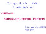 Hóa học hưu cơ - Chương 22: Aminoacid - Peptid - Protein