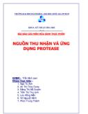 Đề tài Nguồn thu nhận và ứng ụng protease