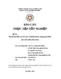 Đề tài Sơ đồ tìm hiểu vai trò của vi khuẩn lactic trong quá trình sản xuất mắm tôm chua