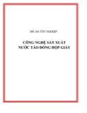 Đồ án Công nghệ sản xuất nước táo đóng hộp giấy