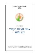 Giáo trình thực hành hoá hữu cơ