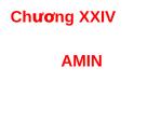 Hóa học: - Chương XXIV: Amin