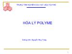 Hóa lý polyme