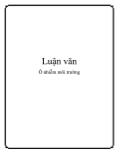 Luận văn Ô nhiễm môi trường