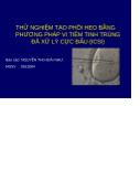Thử nghiệm tạo phôi heo bằng phương pháp vi tiêm tinh trùng đã xử lý cực đầu