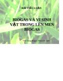 Tiểu luận Biogas và vi sinh vật trong lên men biogas