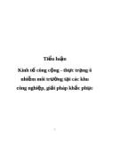 Tiểu luận Kinh tế công cộng - Thực trạng ô nhiễm môi trường tại các khu công nghiệp, giải pháp khắc phục