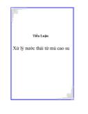 Tiểu luận Xử lý nước thải từ mủ cao su