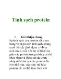 Tinh sạch protein