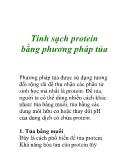 Tinh sạch protein bằng phương pháp tủa