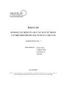 Báo cáo Đánh giá tác động của quy tắc xuất xứ trong các hiệp định thương mại tự do của Việt Nam