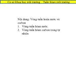 Cơ sở khoa học môi trường – Tuần hoàn môi trường: Vòng tuần hoàn nước và carbon