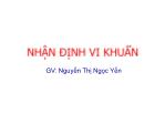 Sinh học - Nhận định vi khuẩn