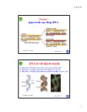 Sinh học phân tử - Chương 3: Quá trình sao chép DNA