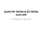 Sinh học - Quan sát trứng và ấu trùng giun sán