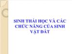 Sinh thái học và các chức năng của sinh vật đất