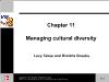 Bài giảng Managing Diversity - Chapter 11 Managing cultural diversity